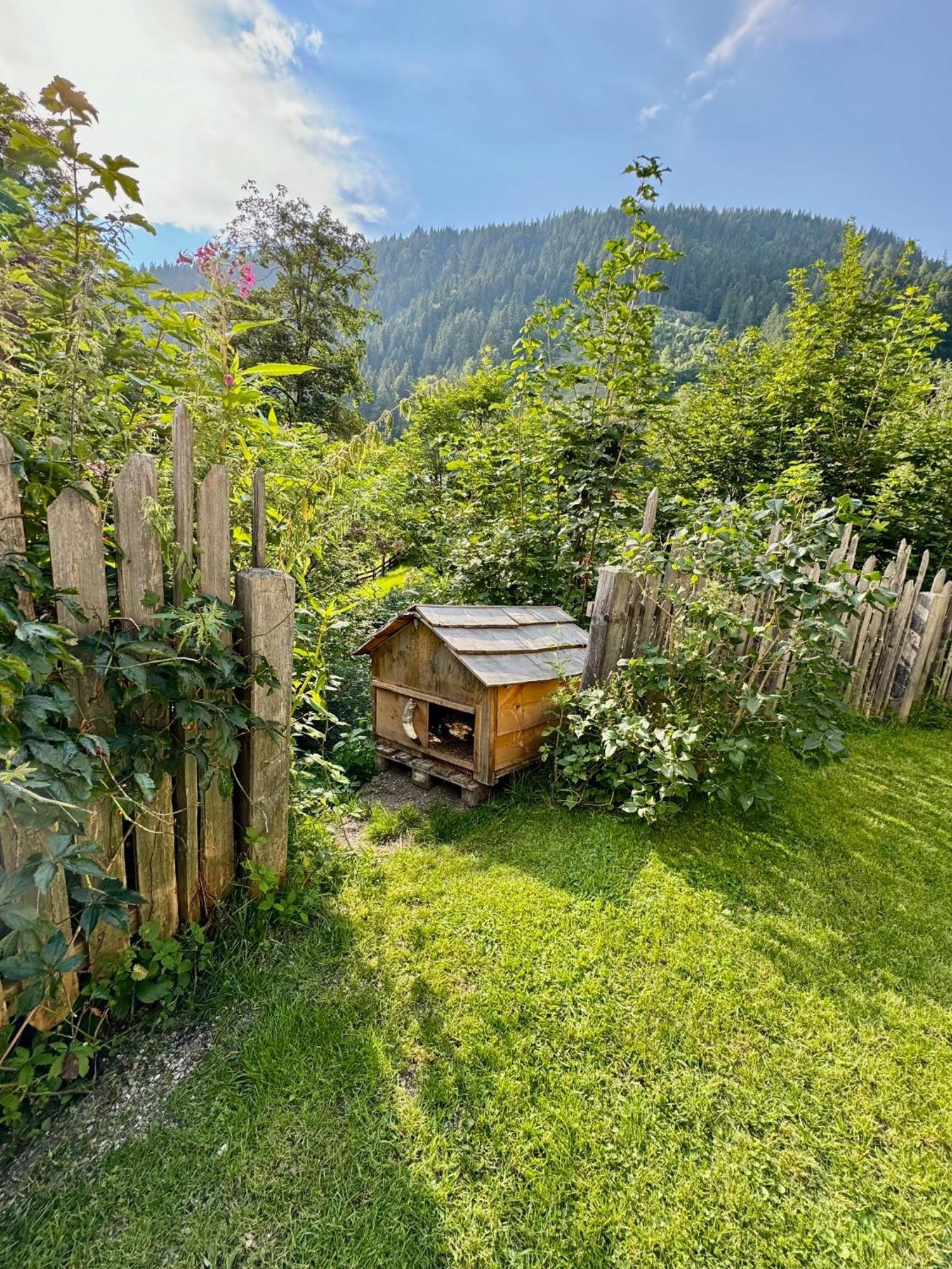 Appartement Haensel & Gretel Werfenweng Kültér fotó
